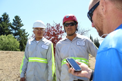 Tree-Care-Palo-Alto.jpeg