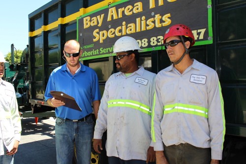 Bay Area Tree Specialists
541 W Capitol Expy #287
San Jose CA 95136
(408) 836-9147