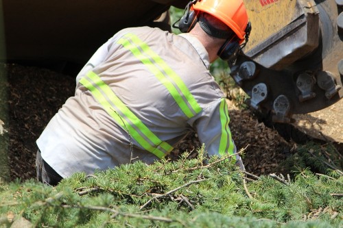 Bay Area Tree Specialists
490 S. California Ave
Palo Alto, CA, 94036
(650) 353-5671